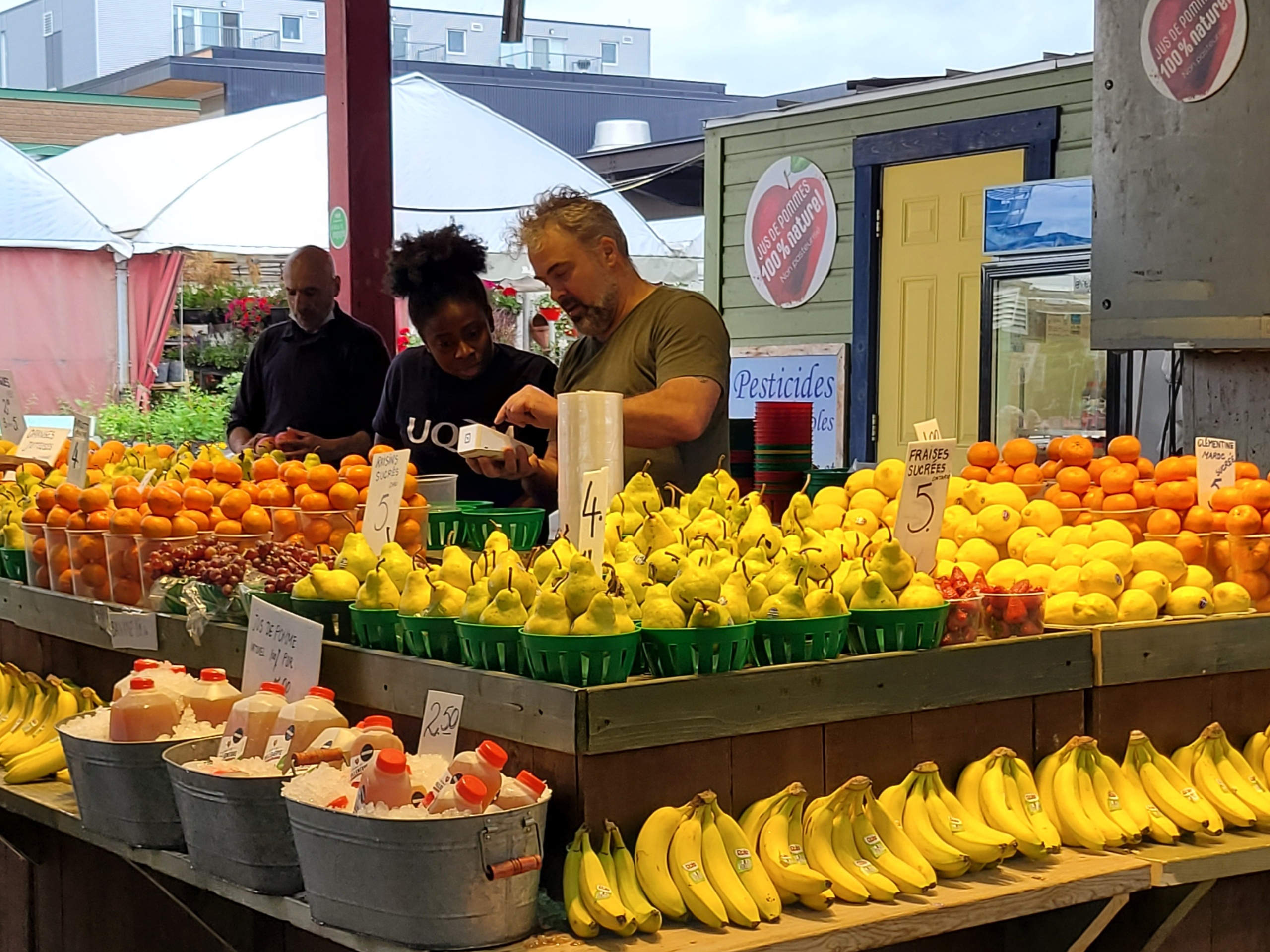 grain-vegetables-and-the-canadian-certificate-of-exemption-hanloong